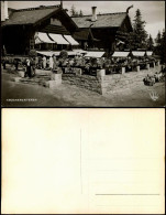 Postcard Holmenkollen FROGNERSÆTEREN Restaurant Bei Oslo 1932 - Norvège