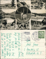 Braunlage Braunlage Mit Würmberg, Silberteich, Bodefälle, Schwimmbad,  1962 - Braunlage