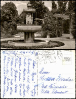 Ansichtskarte Karlsruhe Nibelungenbrunnen Im Rosengarten 1958 - Karlsruhe
