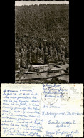 Ansichtskarte Bad Herrenalb Aschenhütte (511 M ü. M.) 1956 - Bad Herrenalb