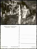 Ansichtskarte Rübeland Harz Tropfsteinhöhle Baumannshöhe Säulenhalle 1959 - Andere & Zonder Classificatie