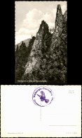 Thale (Harz) Hirschgrund Mit Blick Zum Hexentanzplatz Im Harz 1960 - Andere & Zonder Classificatie