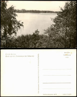 Ansichtskarte Groß Köris Blick Auf Den Zemminsee Bei Schwerin 1955 - Other & Unclassified