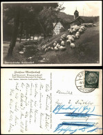 Ansichtskarte Bauersdorf Kr. Siegen Schaafsherde In Der Stadt 1936 - Other & Unclassified