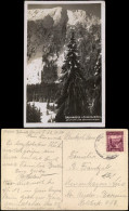 Postcard Petzer Pec Pod Sněžkou Brunnberg, Bergschiede Im Winter 1930 - Czech Republic