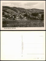 Ansichtskarte Geising-Altenberg (Erzgebirge) Totale 1962 - Geising