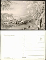 Geising-Altenberg (Erzgebirge) Blick Auf Die Stadt Im Winter 1961 - Geising