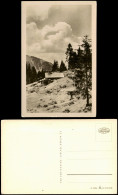 Ansichtskarte  Stimmungsbild Natur Gebirgslandschaft 1955 - Unclassified