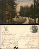 Ansichtskarte Bad Sachsa Katzental - Weg, Colorierte AK 1909 - Bad Sachsa