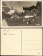 Ansichtskarte Lauterbrunnen Iffigenalp, Kühe - Fotokarte 1930 - Autres & Non Classés