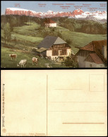.Tirol Österreich - Tirol Landschaftsmotiv Mit Bauernhof Kühe Auf Der Weide 1910 - Autres & Non Classés