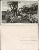 Ansichtskarte Eisfeld Umland-Ansicht: Im Otto-Ludwig-Garten 1940 - Other & Unclassified