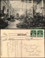 Postcard Kopenhagen København Carlsberg Glyptotek - Palmen# 1912 - Denmark