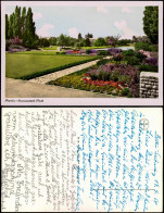 Ansichtskarte Mariendorf-Berlin Volkspark Park Ansicht 1955 - Other & Unclassified