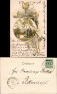 Stimmungsbild Natur 1901   Gelaufen Nach ROTTWEIL (Ankunftsstempel) - Unclassified