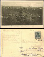 Ansichtskarte Freudenstadt Blick Von Der Ferne Auf Die Stadt 1913 - Freudenstadt