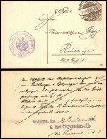 Drucksche Württemberg Gel. Stempel Bezirksgeometerstelle Reutlingen 1916 - Other & Unclassified