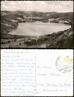 Ansichtskarte Titisee See Panorama-Ansicht 1959 - Autres & Non Classés