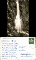 .Baden-Württemberg Schwarzwald  Burgbach-Wasserfall (River Falls) 1961 - Andere & Zonder Classificatie