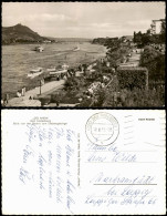 Bad Godesberg-Bonn Panorama Blick Von Der Bastei Zum Siebengebirge 1955 - Bonn