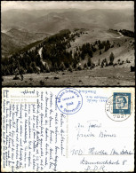 .Baden-Württemberg Schwarzwald (Mittelgebirge) Belchen Gebiet Belchenstraße 1963 - Other & Unclassified