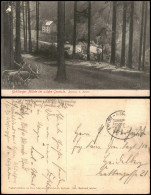 Ansichtskarte Gehlberg Gehlberger Mühle Im Wilden Geratale. Hirsche 1908 - Autres & Non Classés