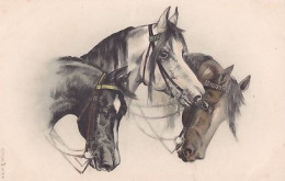 3 CHEVAUX     TETES - Horses