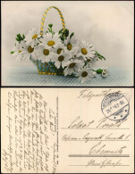 Ansichtskarte Botanik Blumen Fotokunst Kamillen Im Korb 1916  Gel. Reichenbrand - Autres & Non Classés