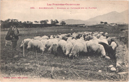 FR66 MAUREILLAS - Labouche 440 - Berger Et Moutons Au Pâturage Sur Le Plateau - Animée - Belle - Autres & Non Classés