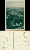 Eppstein (Taunus) Panorama-Ansicht Blick Vom Staufen (Taunus) 1910 - Autres & Non Classés