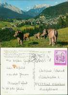 Ansichtskarte Seefeld Panorama-Ansicht, Alm-Motiv Gegen Karwendelspitze 1981 - Other & Unclassified