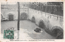75 PARIS LA CRUE LA FOSSE AUX OURS - Überschwemmung 1910