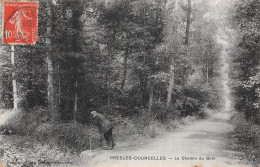 95 PRESLES COURCELLES LE CHEMIN DU BOIS - Presles