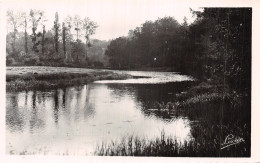 29 FOUESNANT ETANG DE PENPOULE - Fouesnant