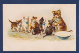 CPA 1 Euro Chat Litho Cat Non Circulé Prix De Départ 1 Euro - Chats