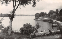 63 L ETANG DE TYX ENVIRONS DE GIAT - Autres & Non Classés