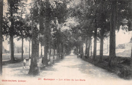 29 QUIMPER LES ALLEE DE LOC MARIA - Quimper