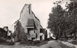 37 CHINON LE GRAND LOGIS - Chinon