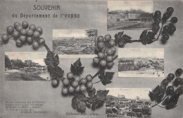 89 L YONNE SOUVENIR - Other & Unclassified