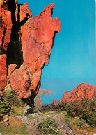 20 - Piana - Les Calanches De Piana - Curiosité Géologique - CPM - Voir Scans Recto-Verso - Andere & Zonder Classificatie