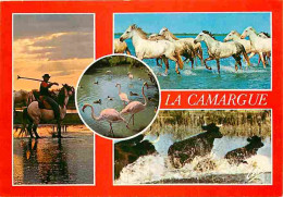 13 - Camargue - Multivues - Chevaux - Taureaux - Gardians - CPM - Voir Scans Recto-Verso - Autres & Non Classés