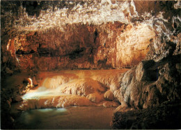 38 - Pont En Royans - Grottes De Chorance - Spéléologie - CPM - Carte Neuve - Voir Scans Recto-Verso - Pont-en-Royans