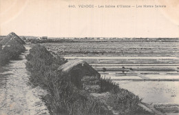 85 LES SABLES D OLONNE LES MARAIS SALANTS - Sables D'Olonne