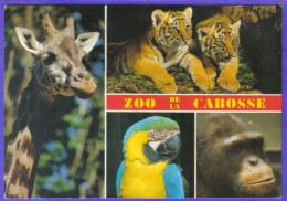 Carte Postale 14. Jurques  ZOO De La Cabosse Très Beau Plan - Autres & Non Classés