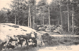 77 ROCHER PRES DE POLIGNY ENVIRONS DE NEMOURS - Autres & Non Classés