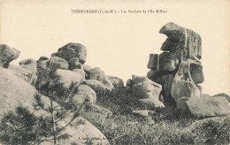 22 TREBEURDEN L ILLE MILLIAU - Trébeurden