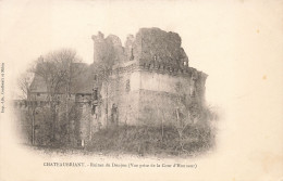 44 CHATEAUBRIANT LE CHÂTEAU RUINES DU DONJON - Châteaubriant