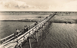 85 LA FAUTE SUR MER LA PASSERELLE ET LA PLAGE - Autres & Non Classés