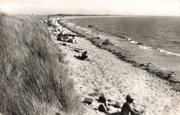 85 L ILE DE NOIRMOUTIER LA PLAGE BARBATRE - Ile De Noirmoutier