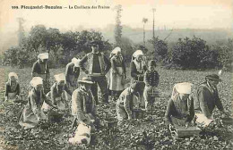 29 - Plougastel Daoulas - La Cueillette Des Fraises - Scènes Et Types - Animée - CPA - Voir Scans Recto-Verso - Plougastel-Daoulas